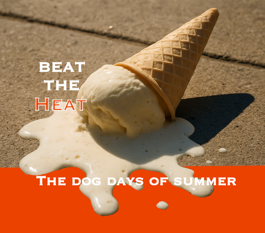 Beat the Heat: Protecting Ourselves and Our Community