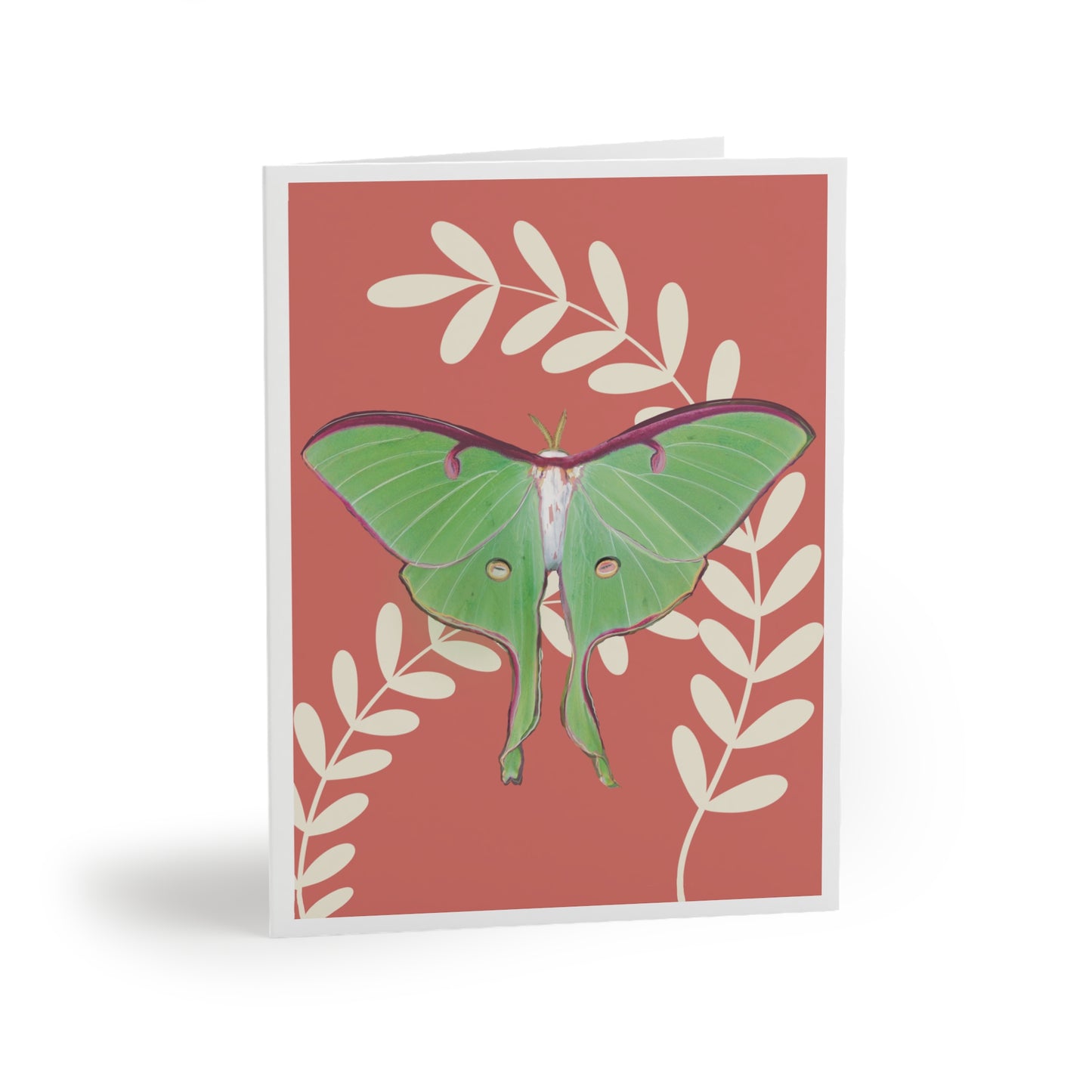 Greeting Card - Moth /Luna/Coral /Cream