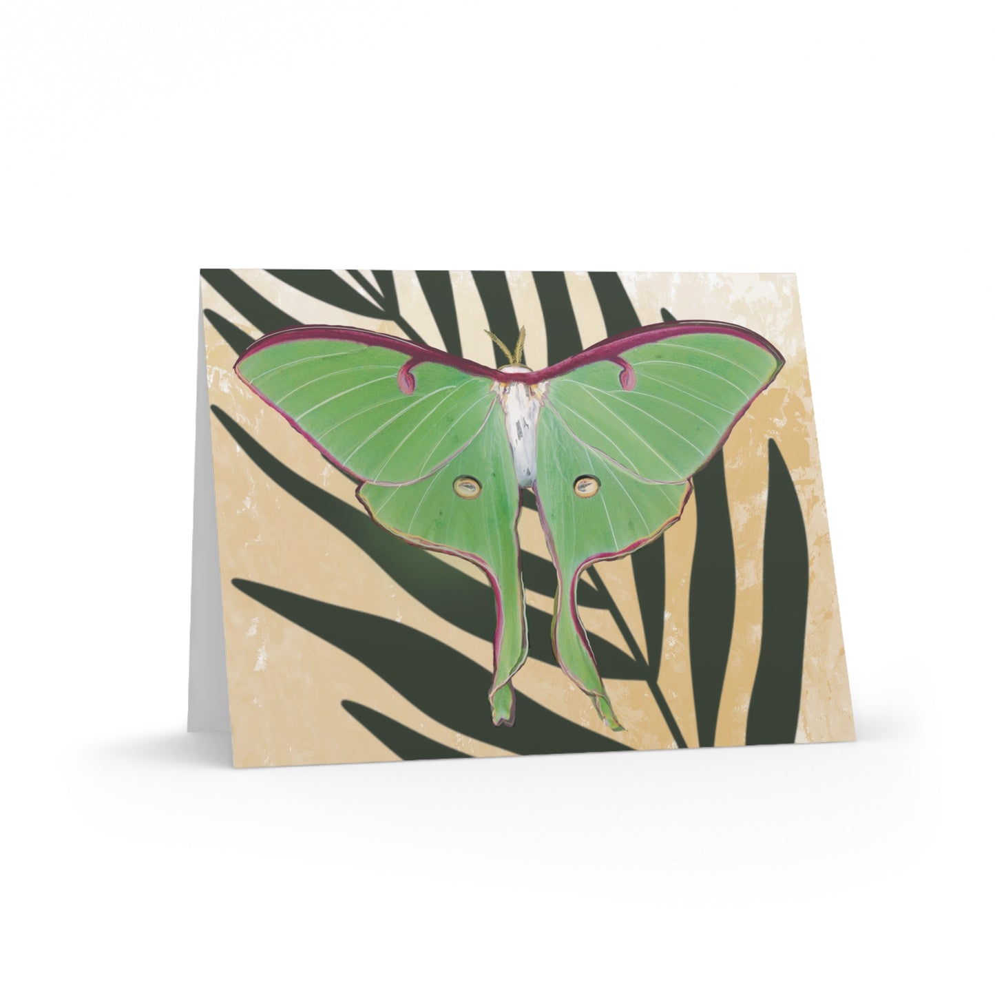 Greeting Card - Moth / Luna on leaf