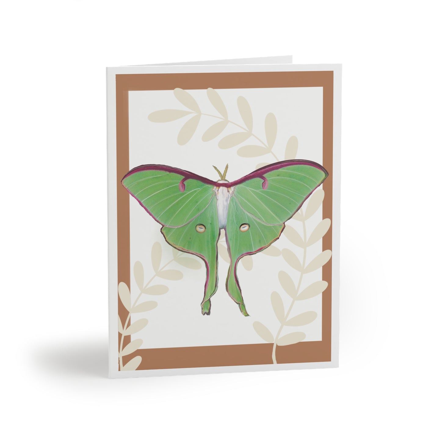 Greeting card - Moth / Luna in Frame