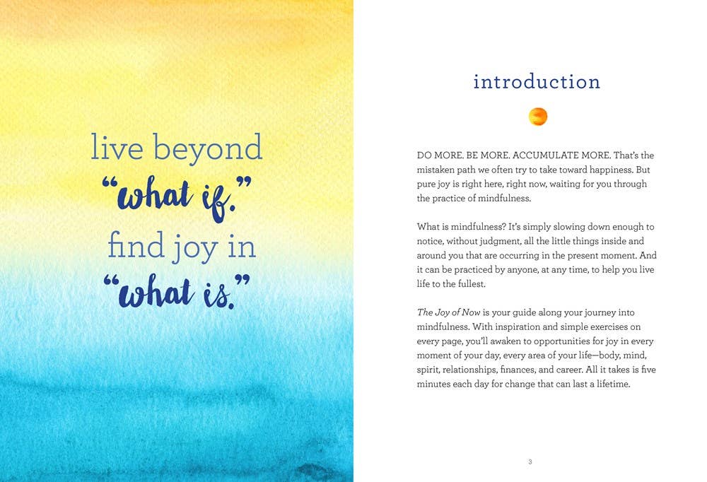 Joy workbook with colorful pages, offering guided questions, quotations, and meditations to help readers appreciate the present moment and embrace mindfulness