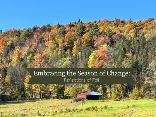 Embracing the Season of Change : Reflections of Fall