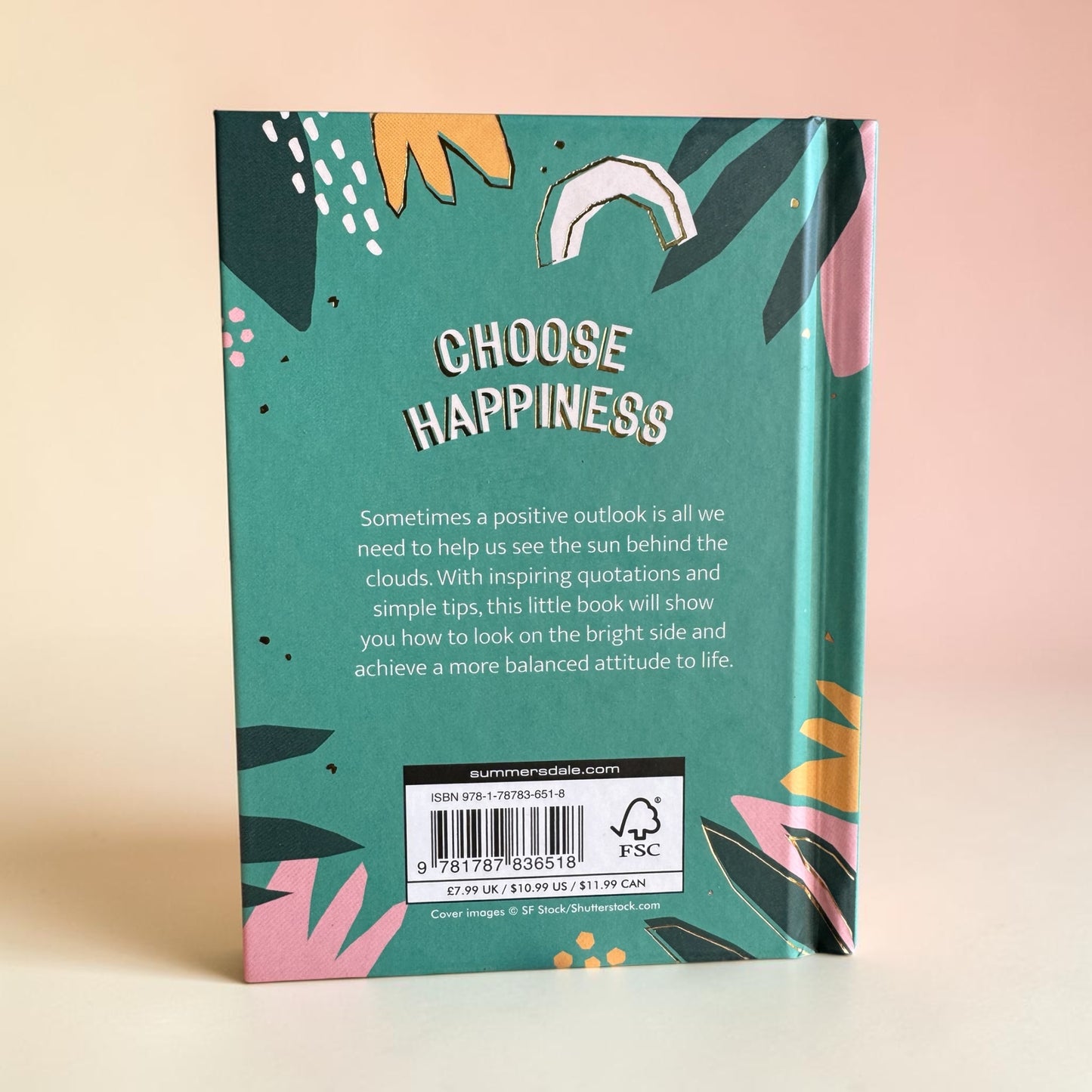 Book cover with 'Choose Happiness' text and floral design on a beige background.” “Sometimes a positive outlook is all we need to help us see the sun behind the clouds. Inspiring quotations and simple tips, this little book will show you how to look on the bright side and achieve a more balanced attitude to life.”