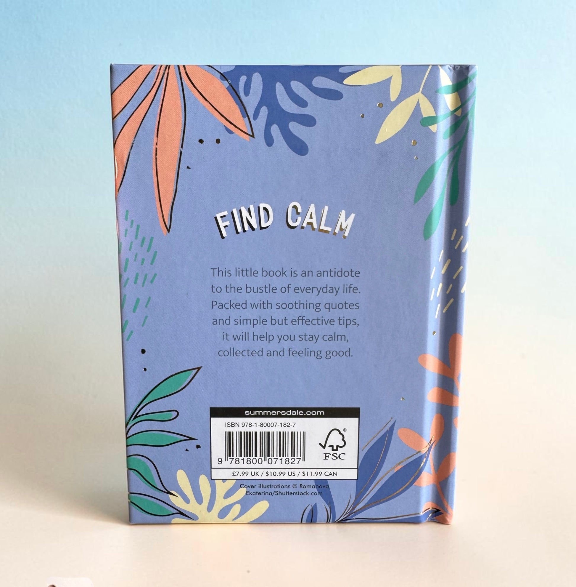 Back cover of a book with floral design and text on a light blue background. “This little book is an antidote to the bustle of every day life. Packed with soothing quotes and simple, but effective tips, it will help you stay calm, collected and feeling good.”