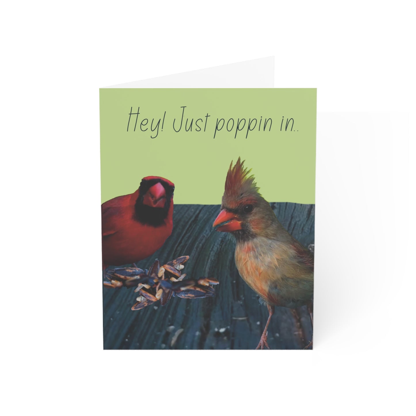 The image shows two cardinals peaking at the camera, standing on wood with some bird seed at their feet. One of the cardinals is male and has the red bright color most cardinals are known for. The second bird on the right is a female and has brown subtle colors with an orange beak. The background color of the card is light green with the words  Hey! Just poppin in..