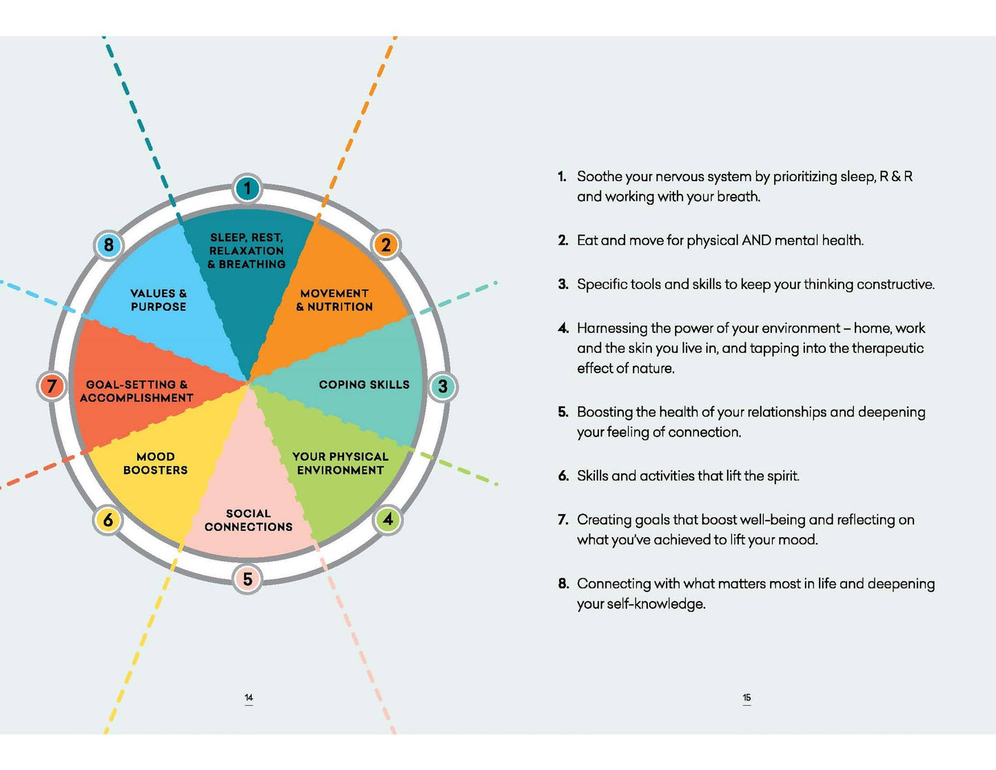 Wheel diagram of wellness with colorful segments and text on a light gray background