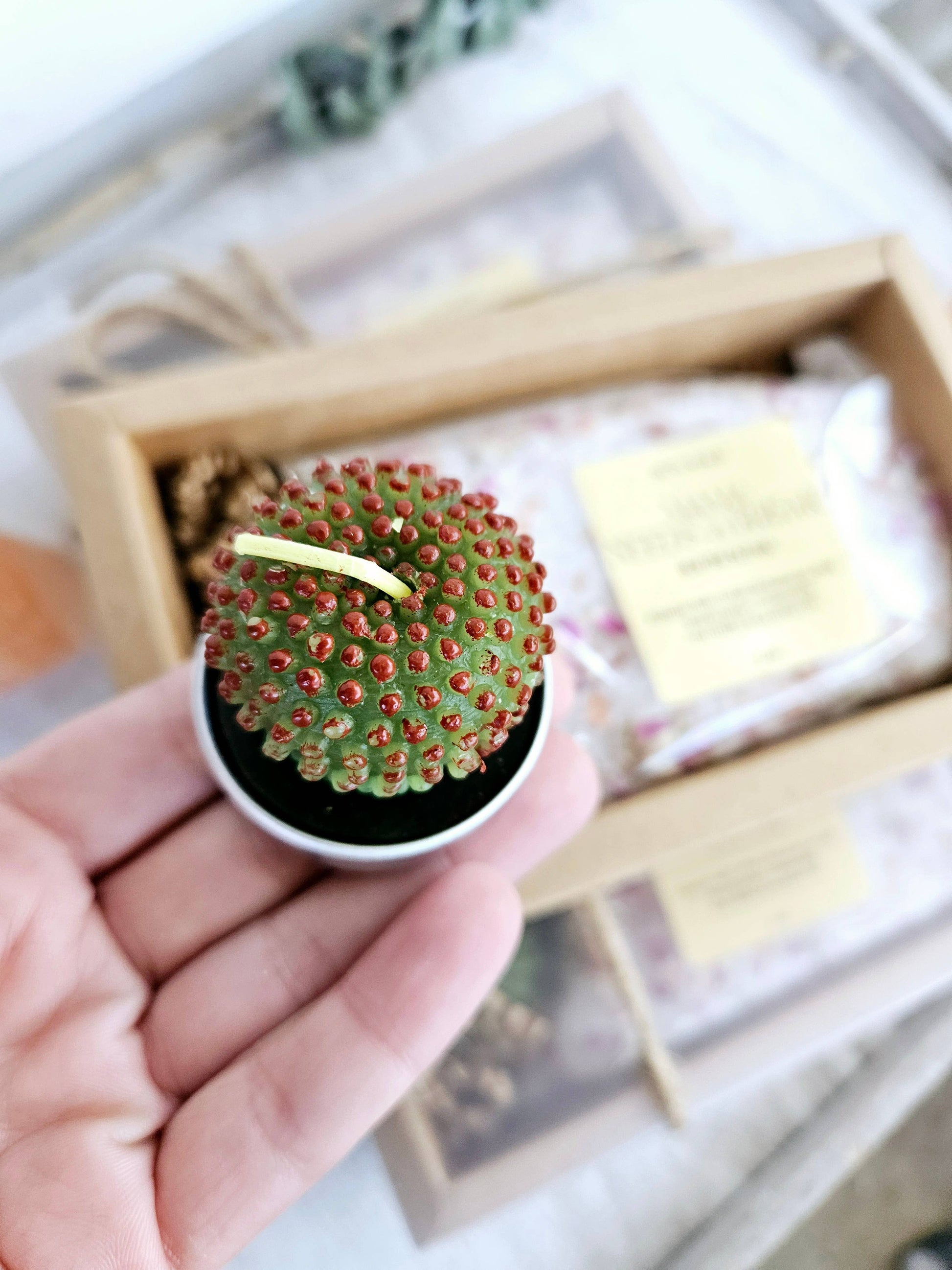 Mama Needs A Break Soak Gift Set with Bath Soak and Tea Light Succulent Candle in Eco-Friendly Kraft Box